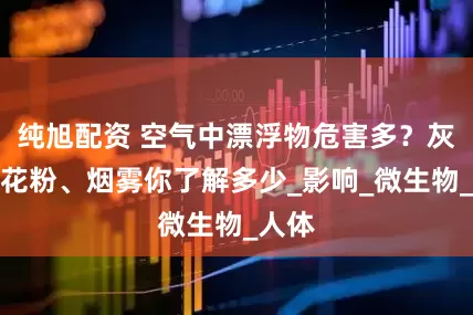 纯旭配资 空气中漂浮物危害多？灰尘、花粉、烟雾你了解多少_影响_微生物_人体