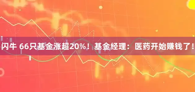 闪牛 66只基金涨超20%！基金经理：医药开始赚钱了！