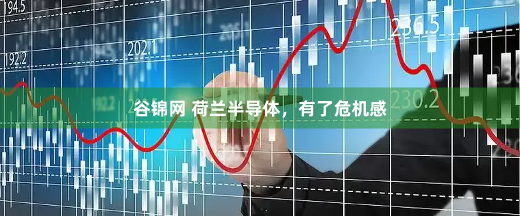 谷锦网 荷兰半导体，有了危机感