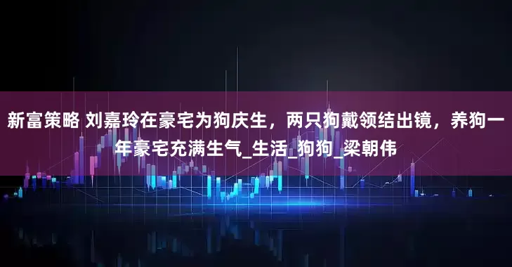 新富策略 刘嘉玲在豪宅为狗庆生，两只狗戴领结出镜，养狗一年豪宅充满生气_生活_狗狗_梁朝伟