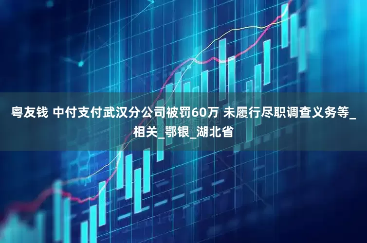 粤友钱 中付支付武汉分公司被罚60万 未履行尽职调查义务等_相关_鄂银_湖北省