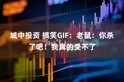 城中投资 搞笑GIF：老鼠：你杀了吧！我真的受不了